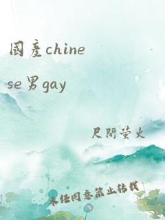 国产chinese男gay