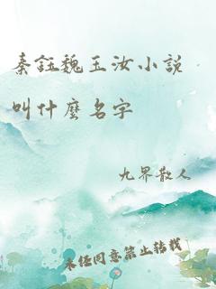 秦钰魏玉汝小说叫什么名字