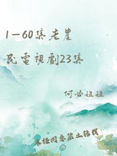 1—60集老农民电视剧23集