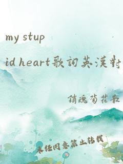 my stupid heart歌词英汉对照