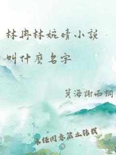 林冉林婉晴小说叫什么名字