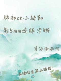 肺部ct小结节影5mm边缘清晰