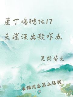 芦丁鸡孵化17天还没出壳咋办