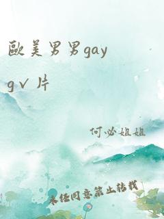 欧美男男gayg√片