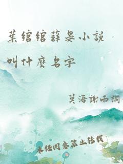 叶绾绾薛晏小说叫什么名字