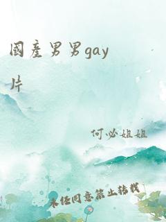 国产男男gay片