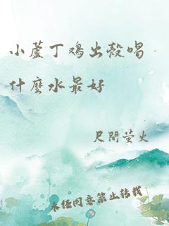 小芦丁鸡出壳喝什么水最好