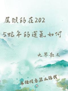 属猴的在2025蛇年的运气如何