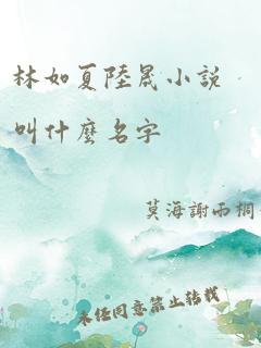 林如夏陆晟小说叫什么名字