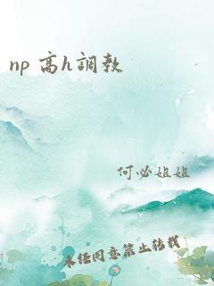 np 高h调教