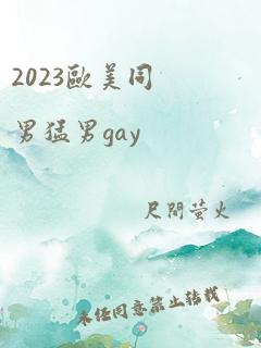 2023欧美同男猛男gay