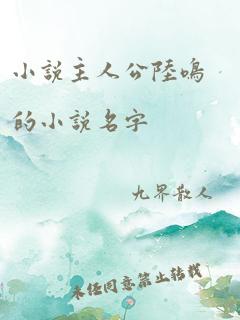 小说主人公陆鸣的小说名字