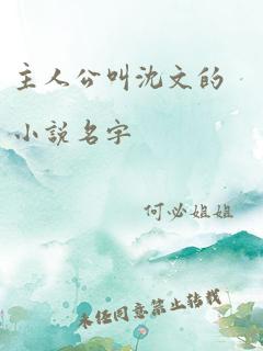 主人公叫沈文的小说名字