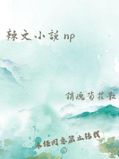 辣文小说 np