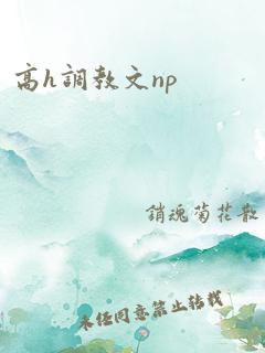 高h调教文np