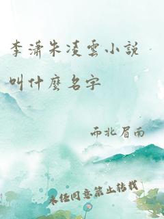 李潇朱凌云小说叫什么名字