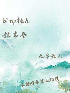 bl np纯h抹布受