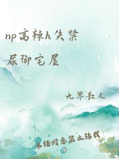 np高辣h失禁尿御宅屋