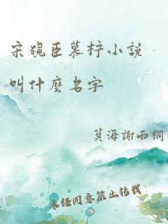 宋砚臣慕柠小说叫什么名字