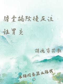 胆囊摘除后反流性胃炎