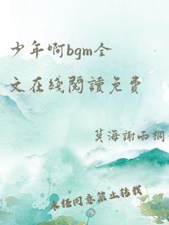 少年啊bgm全文在线阅读免费