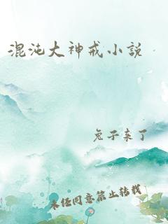 混沌大神戒小说