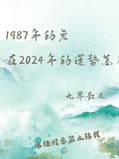 1987年的兔在2024年的运势怎么样