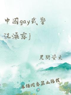 中国gay武警洗澡露j