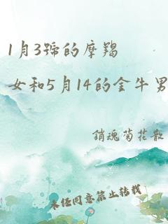 1月3号的摩羯女和5月14的金牛男配对指数