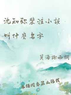 沈知弥裴淮小说叫什么名字