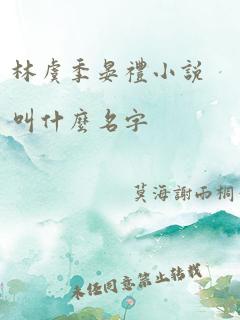 林虞季晏礼小说叫什么名字