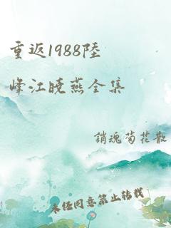 重返1988陆峰江晓燕全集