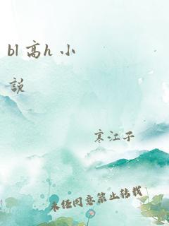 bl 高h 小说