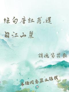 绝句唐杜甫,迟日江山丽