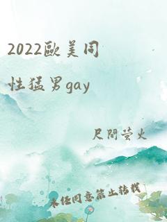 2022欧美同性猛男gay