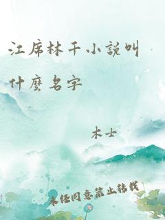 江席林千小说叫什么名字