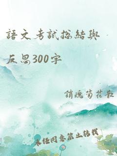 语文考试总结与反思300字