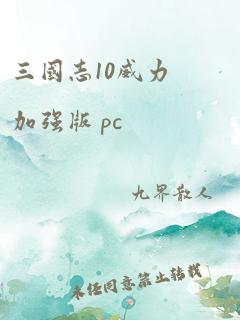 三国志10威力加强版 pc