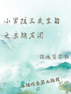 小男孩三岁生日文案朋友圈