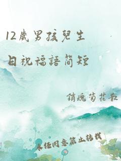 12岁男孩儿生日祝福语简短