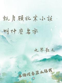 甄月顾北寒小说叫什么名字