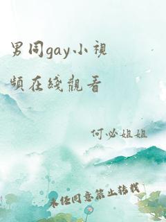 男同gay小视频在线观看