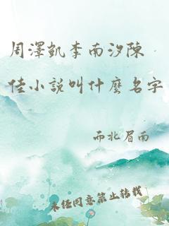 周泽凯李南汐陈佳小说叫什么名字