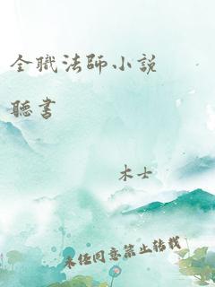 全职法师小说 听书