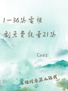 1—36集电视剧免费观看21集