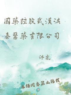 国药控股武汉洪泰医药有限公司