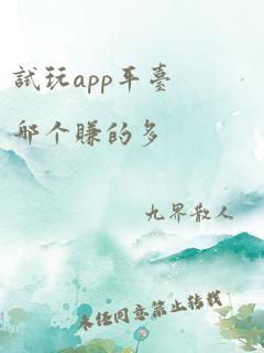 试玩app平台哪个赚的多