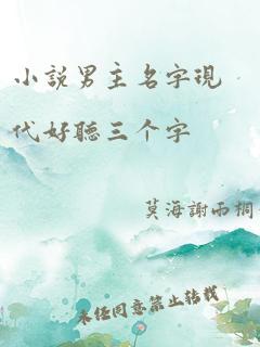 小说男主名字现代好听三个字