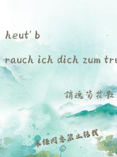 heut' brauch ich dich zum trumen歌词翻译