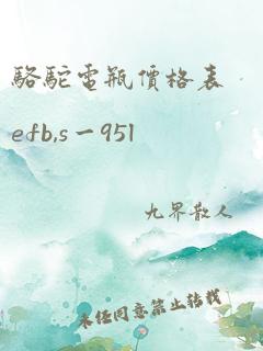 骆驼电瓶价格表efb,s一95l